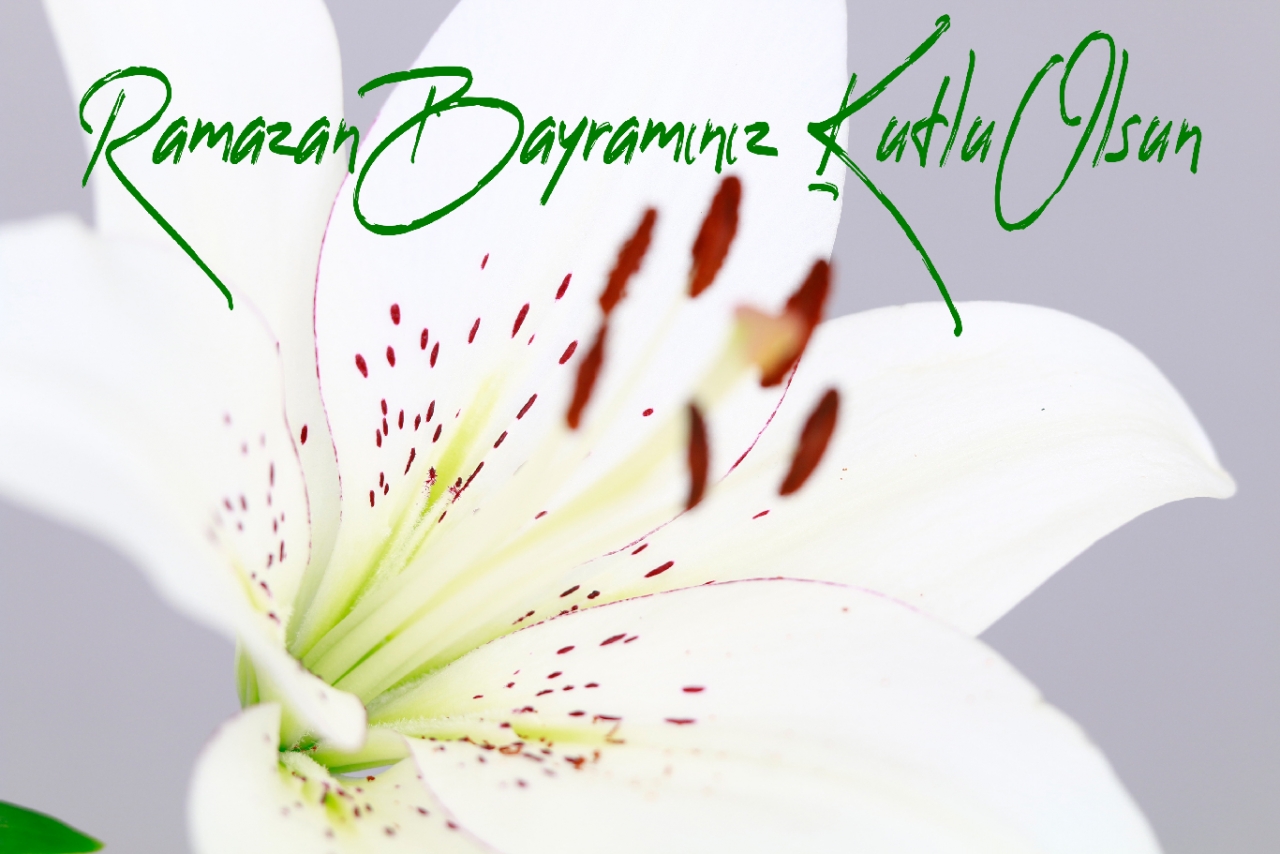 Ramazan Bayramınız Kutlu Olsun