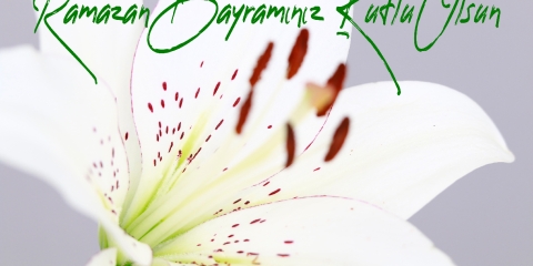 Ramazan Bayramınız Kutlu Olsun